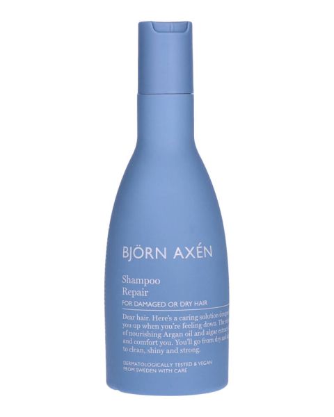 Björn Axén Repair Shampoo